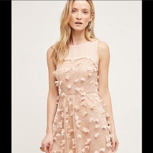 Eva Franco Flutter Fleur Dress Tulle Flower Blush